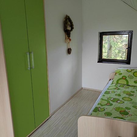 Vila Hajdi Planina Tara Bajina Basta Buitenkant foto