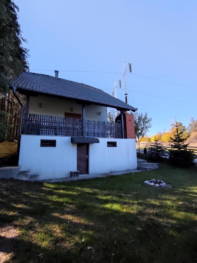 Vila Hajdi Planina Tara Bajina Basta Buitenkant foto