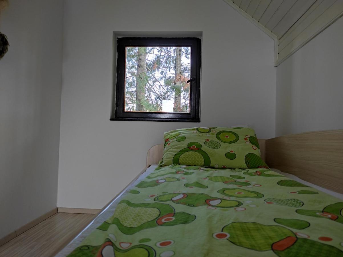 Vila Hajdi Planina Tara Bajina Basta Buitenkant foto