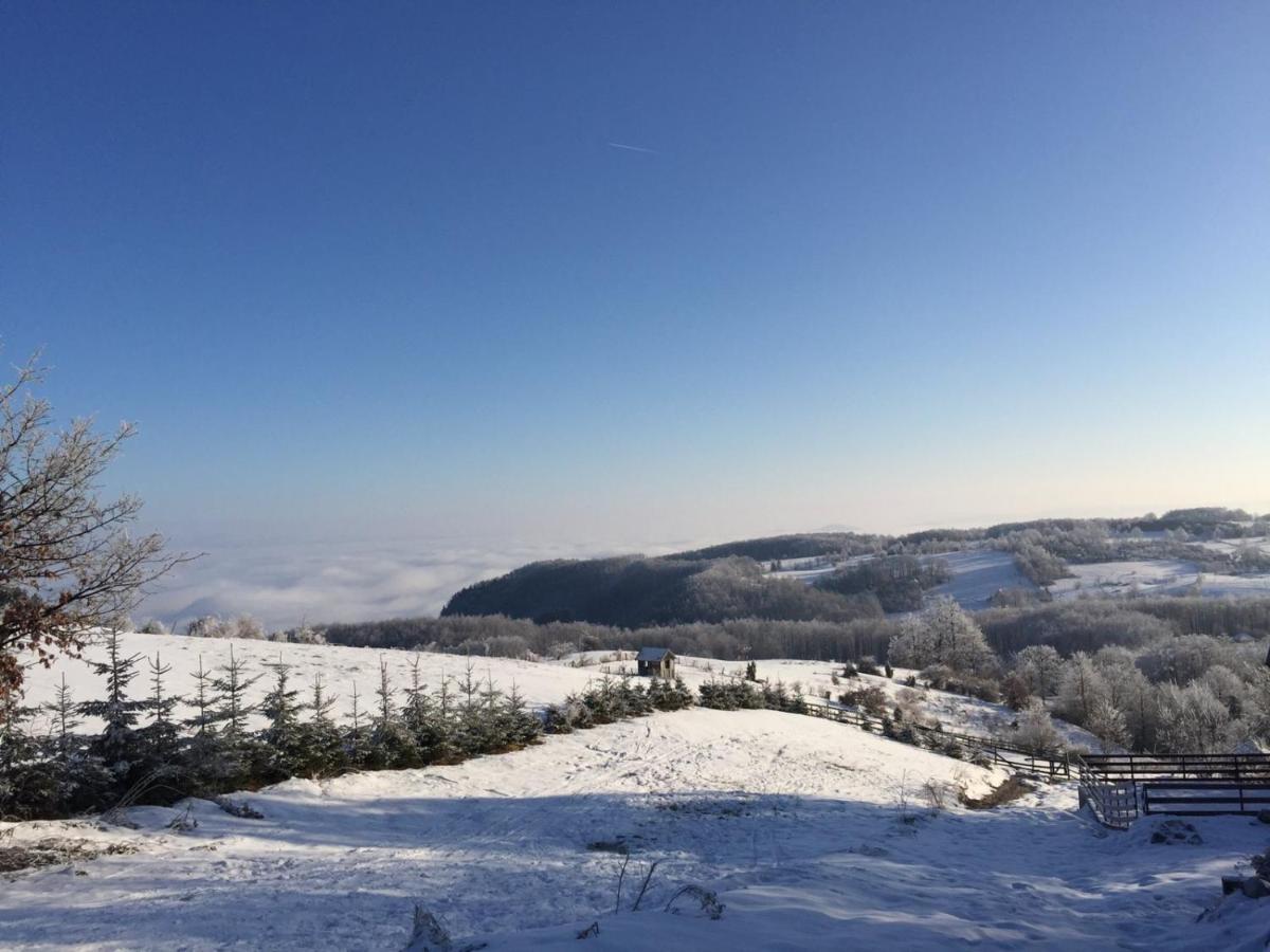 Vila Hajdi Planina Tara Bajina Basta Buitenkant foto